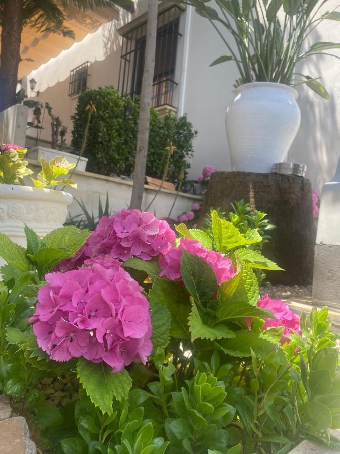 Casa Los Encinares กอร์โดบา ภายนอก รูปภาพ